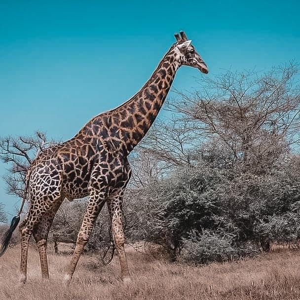 Expérience révélée dans le guide