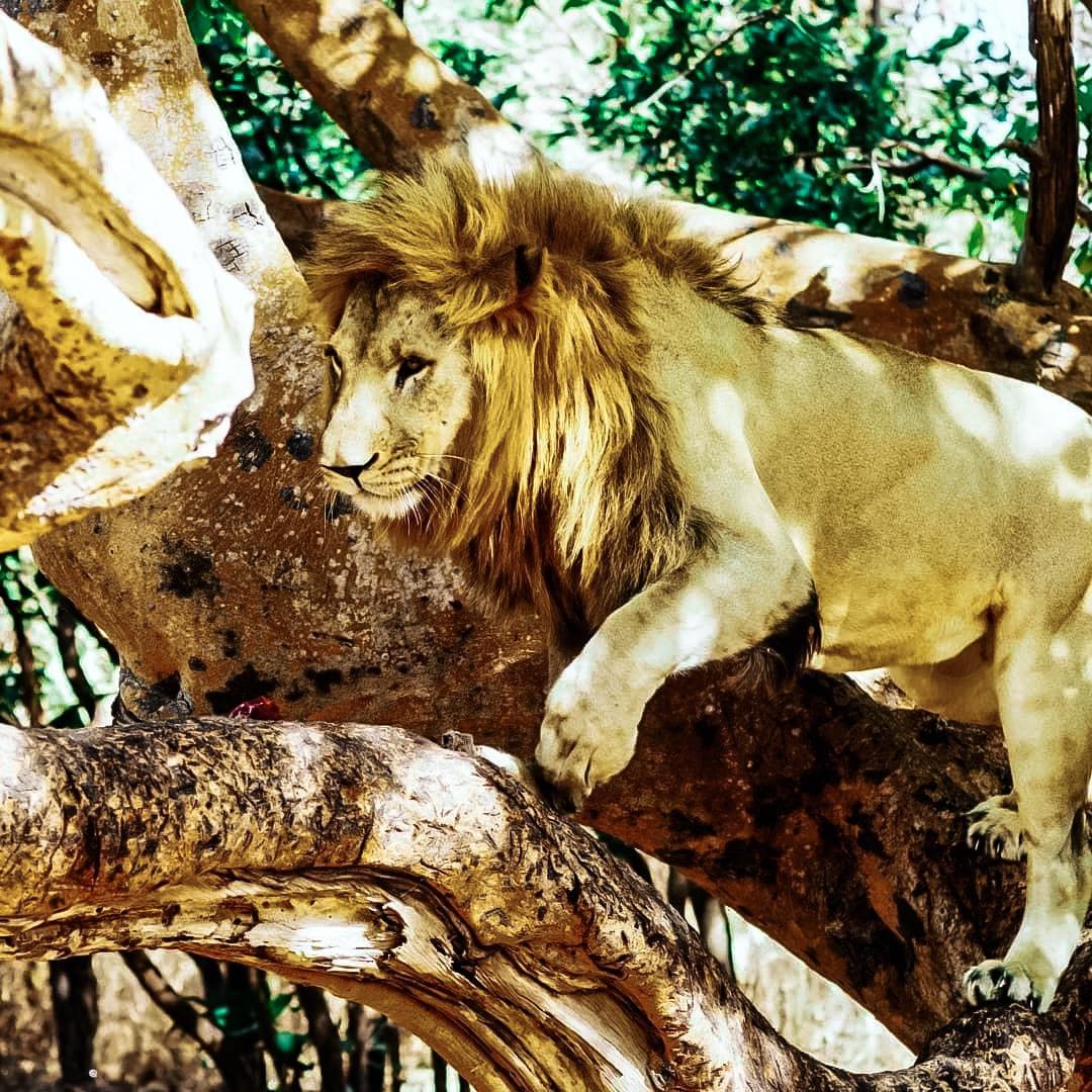 Expérience révélée dans le guide