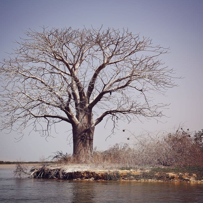 Expérience révélée dans le guide