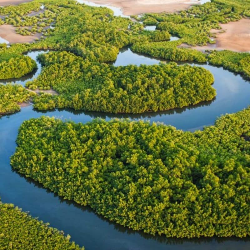 Expérience révélée dans le guide